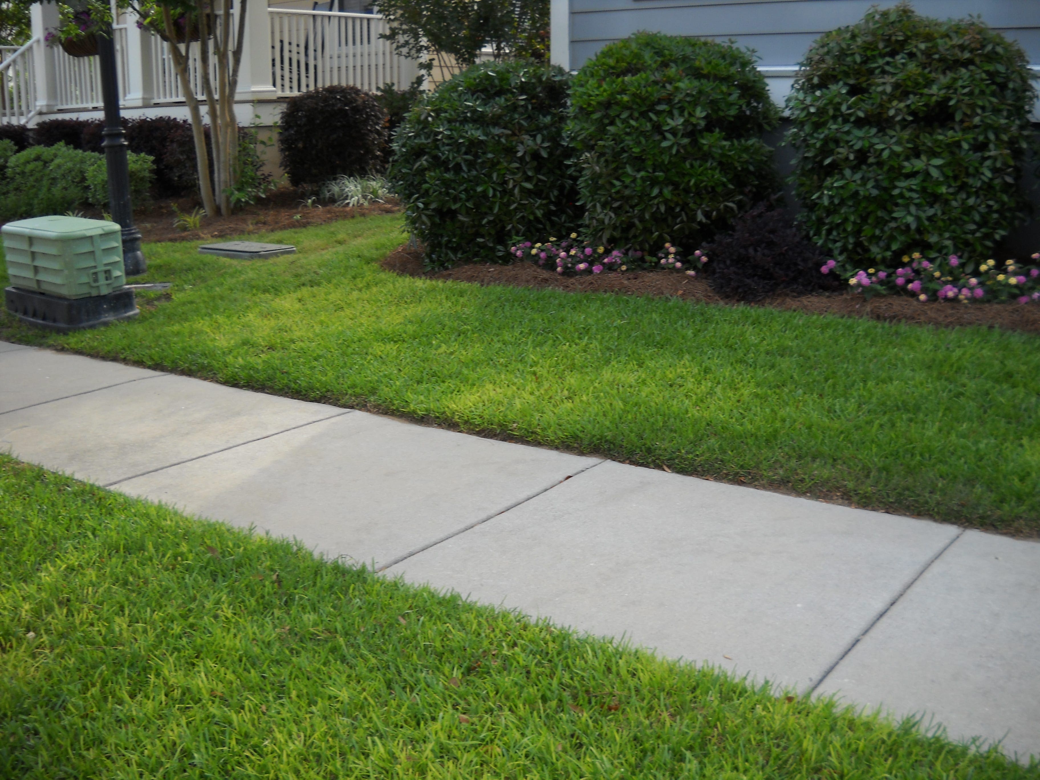 lawn fertilizer service in Mount Pleasant, SC