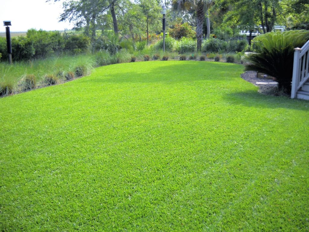 weed control services in Mount Pleasant, South Carolina
