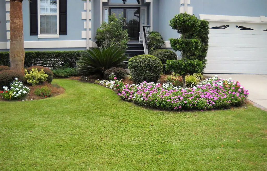 Mt Pleasant, SC Plantings Blog