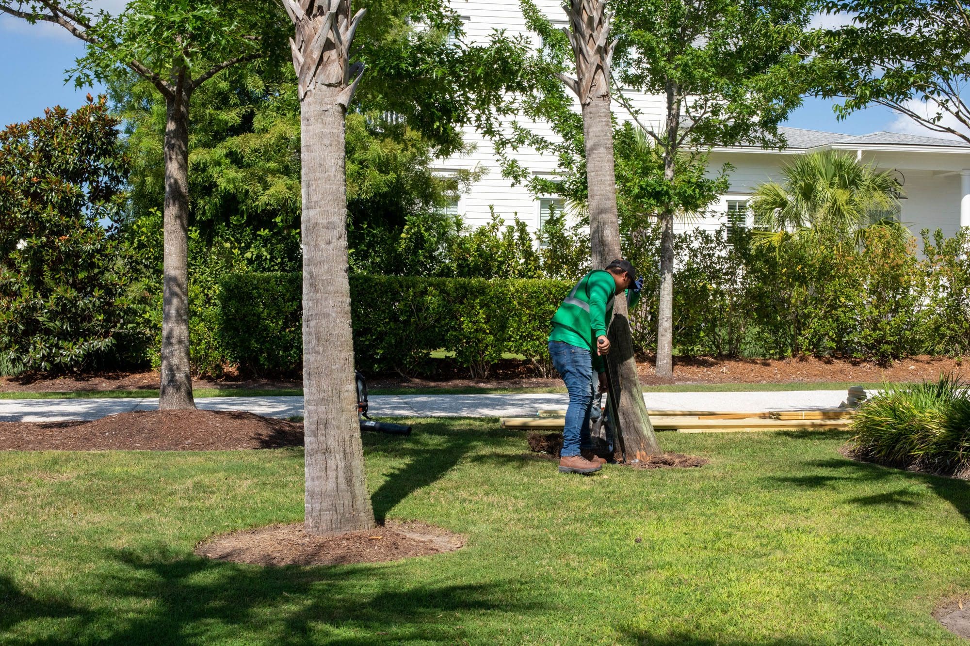Get Your Questions Answered In Mt Pleasant SC In Our Landscaping FAQs