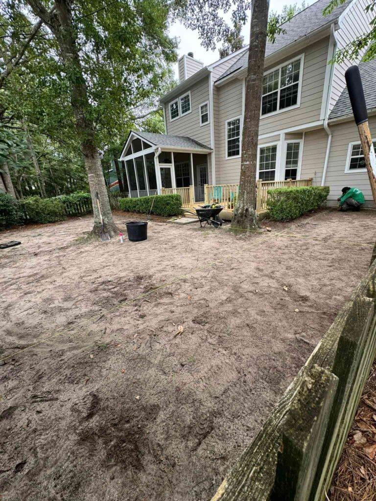 Before Image