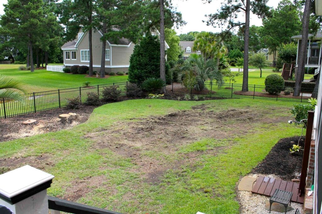 Before Image