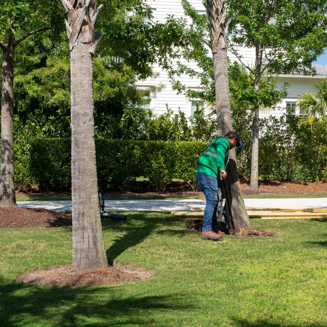 Mt Pleasant, SC Landscaping FAQs Mt Pleasant, SC Landscaping FAQs