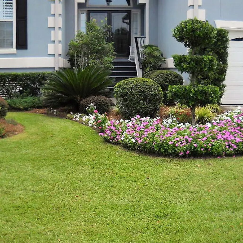 Mt Pleasant, SC Plantings Blog